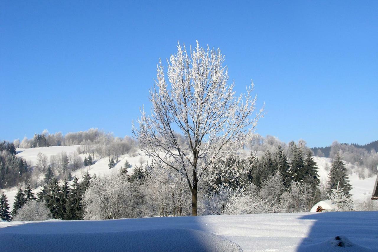 Chata U Zaby Zwardoń Exterior foto