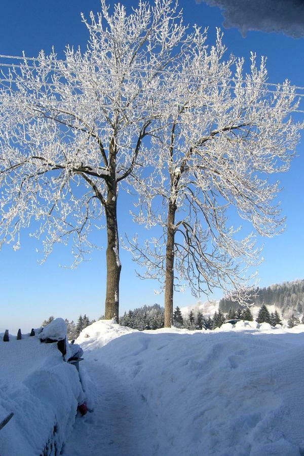 Chata U Zaby Zwardoń Exterior foto